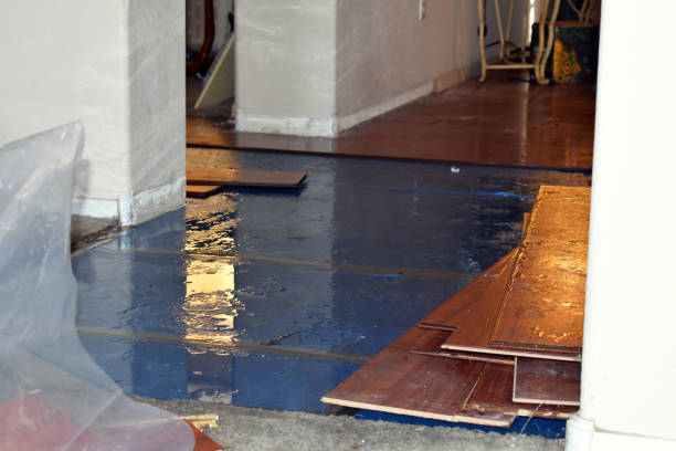 Professional Basement Flood Cleanup technician working in Barnum, IA